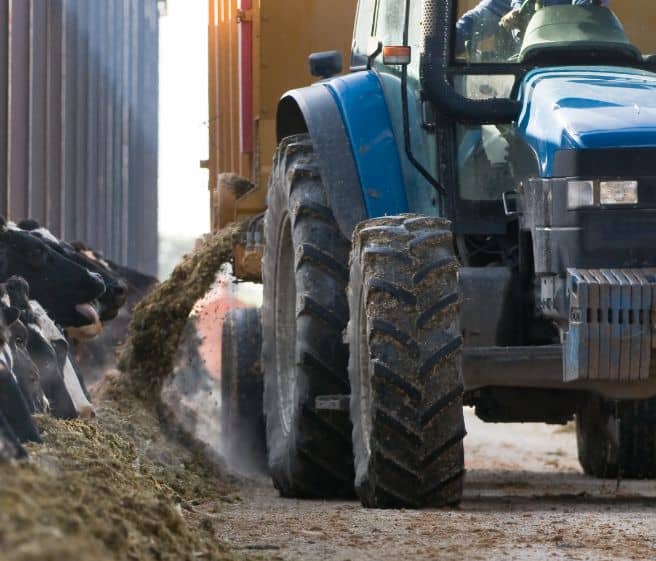 Tractor to feed livestock.